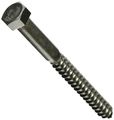 The Hillman Group 832088 1 2 X 5-inch Stainless Steel Hex Lag Screw 25-pack 