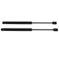 Gas Strut 20 And 150 Lbs Spring Rod Suspa C16-17566 Rv Cargo Door Lift Set Heavy Duty 2