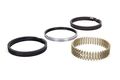 Hastings C5532040 Piston Ring Set 