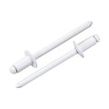 100pcs 5 32 X5 16 Round Head Blind Rivets Zinc-plated Carbon Steel Grip And Mandrel Cap White 