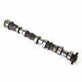 Fiwary Left Side Camshaft Fits For Grand Cherokee Dodge Chrysler Ram 3 6l 2011-2020 Repalce Oe 5184377ag 5184377ad 5184377ae