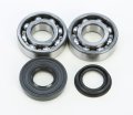 Crankshaft Bearing And Seal Kit For Polaris Predator 50 2004-2007 Atv Part 22-41083 