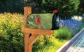 Mailwraps Studio M Cardinal Decorative The Original Magnetic Mailbox Cover Superior Weather Durability Standard Size Fits 6 5w 