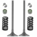 Caltric 2x Exhaust Valve Kit Compatible With Yamaha Yz250f Yz 250f 2002 2003 2004 2005 2006 2007 2008-2013