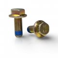 Brake Caliper Bolt 2 Pack For Polaris Rzr Ranger Sportsman Scrambler 2008 2024 Replacement