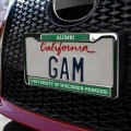 University Of Wisconsin Parkside Alumni Full Size Standard License Plate Metal Frame