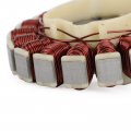 Topteng Stator Coil Generator Alternator Fit For Yamaha Wr250 Wr250f 2015-2019 Wr450 Wr450f 2016-2018 Yz250 Yz250fx 2015-19