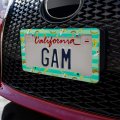 Ripe Bananas Pattern License Plate Tag Frame