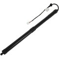Tailgate Gas Strut Lift Support For Toyota Rav4 2019 2020 Rear Left Powered Charged Shock Spring Part Number 6892042020
