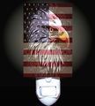 Antique Look American Eagle Decorative Night Light 