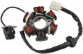 Magneto Stator 6-coil 5-wire For 50cc 70cc 90cc 110cc 125cc Horizontal Motor Dirt Bike