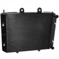Caltric Radiator For Polaris 