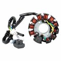 11 Pole Coils Magneto Stator Replacement For Gy6 150cc 125cc Engine Ac 6 Coil 