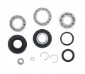 Fits Honda Rancher 350 Trx350 Rear Differential Bearing And Seal Kit