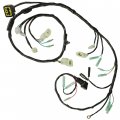 Caltric Wiring Harness Compatible With Honda 32100-hm8-a40