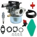 Secos Carburetor Kit 2700-3000psi For Troy Bilt Power Washer 7 75hp 8 W Air Filter