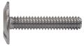 The Hillman Group 831494 1 4 X 2-inch Stainless Steel Hurricane Bolt 100-pack 
