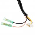 Caltric Stator Compatible With E-ton 50 Axl-50 Nxl-50 Lightning Axl50 Nxl50 50cc