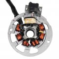 Caltric Stator Compatible With E-ton 50 Axl-50 Nxl-50 Lightning Axl50 Nxl50 50cc