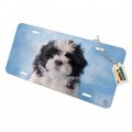 Graphics More Shih Tzu Dog Black White On Blue Novelty Metal Vanity Tag License Plate