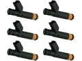 Fuel Injector Kit 6-piece For 1999-2003 Ford F-150 4 2l V6 Naturally Aspirated 