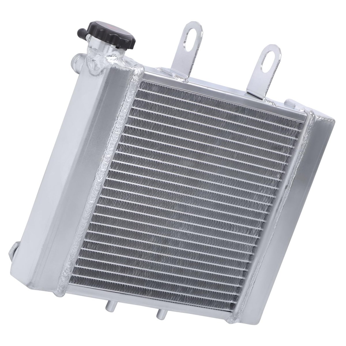 3 Rows Radiator Replacement For Bombardier Rally 200 2003 2006 And Can Am 175 2007 Polished Finish Direct