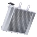 3 Rows Radiator Replacement For Bombardier Rally 200 2003 2006 And Can Am 175 2007 Polished Finish Direct 