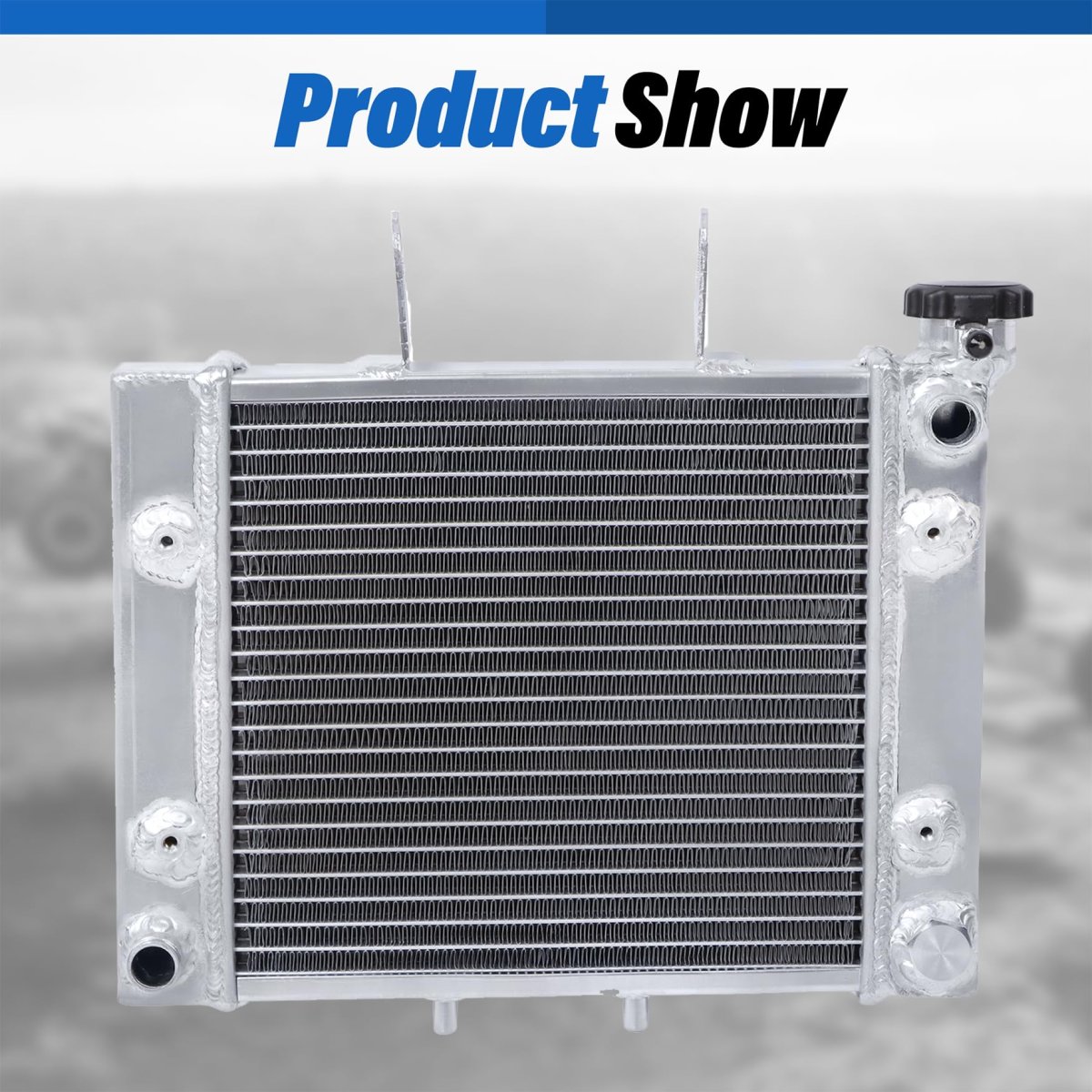 3 Rows Radiator Replacement For Bombardier Rally 200 2003 2006 And Can Am 175 2007 Polished Finish Direct