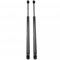 Aintier Automotive Replacement Shock Lift Supports Fit Ford For Expedition 2003-2006 For Lincoln Navigator