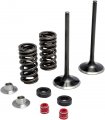 Kibblewhite Precision 30-32440 Intake Only Stainless Conversion Valve Spring Kit 