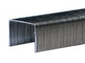 Rapid 66 8 Staple 