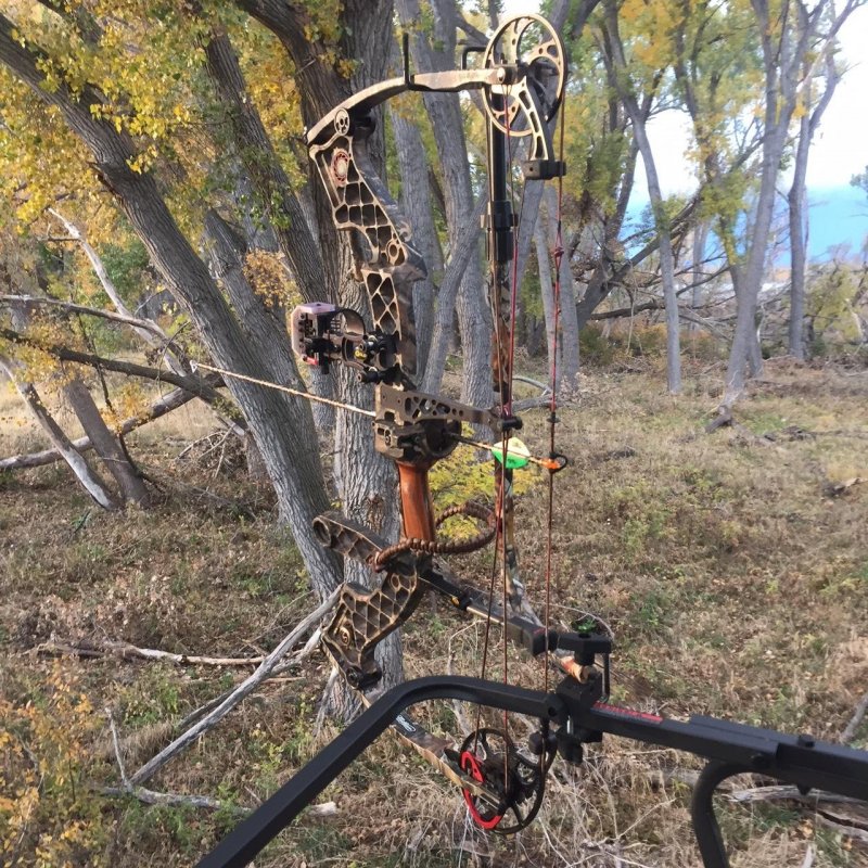 Firefly Universal Tree Stand Bow And Accessory Holder