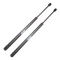 Hood And Trunk Struts Shocks Lift Supports For Hyundai Sonata 2002 2003 2004 2005 Gas Springs Replace Oe 4145 4383 Pm2025