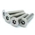 M4 Tamper-resistant Security Screws Flat Head Assortment Kit Pack Of 80-piece