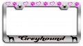 Greyhound Dogs Pets Chrome Metal License Plate Frame Tag Holder F56 