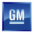General Motors 95238092 F Applique 