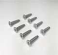 8 Ea 1994-2004 Jeep Wrangler Yj Tj Stainless Steel Tail Gate Torx Screws 