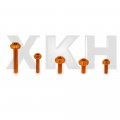 Xkh- Gloden Motorcycle Sportbike Complete Fairing Bolts Kit Fastener Clips Screw Nuts B076gyxkg4