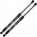 A-premium Front Hood Lift Supports Shock Struts Compatible With Lexus Gs300 Gs350 Gs430 Gs450h 2005-2012 2-pc Set Base Only