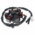 Glixal Gy6 125cc 150cc 6 Poles Dc Magneto Stator For 152qmi 157qmj Scooter Moped Atv Go-kart Buggy Quad Engine Taotao Jonway 