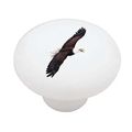 Flying Eagle Decorative High Gloss Ceramic Drawer Knob 