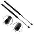 16 68 In Pm3265 Hood Lift Supports Struts For Honda Accord Crosstour 2010 2011 And 2012 2015 Pair Of Front Left Right
