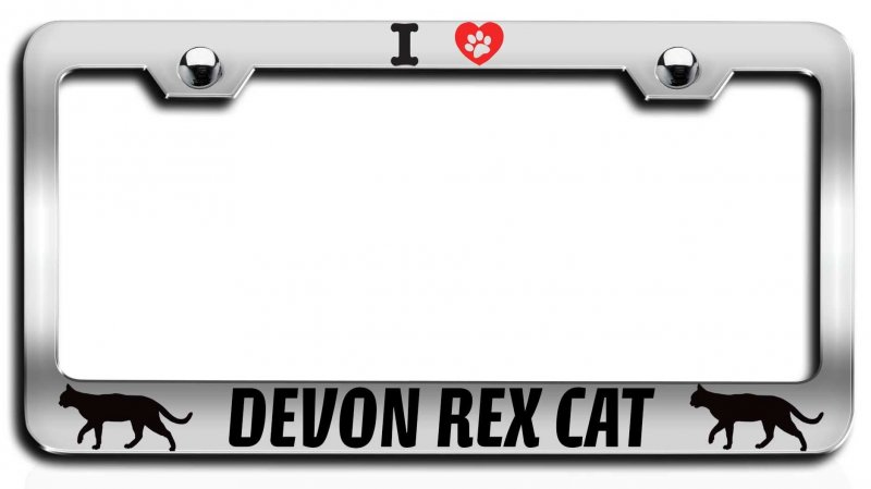 I Love Devon Rex Cat Pets Chrome Metal License Plate Frame Tag Holder D52