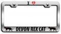 I Love Devon Rex Cat Pets Chrome Metal License Plate Frame Tag Holder D52