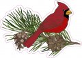 Stickertalk Pine Branch Cardinal Vinyl Sticker 5 Inches By 3 
