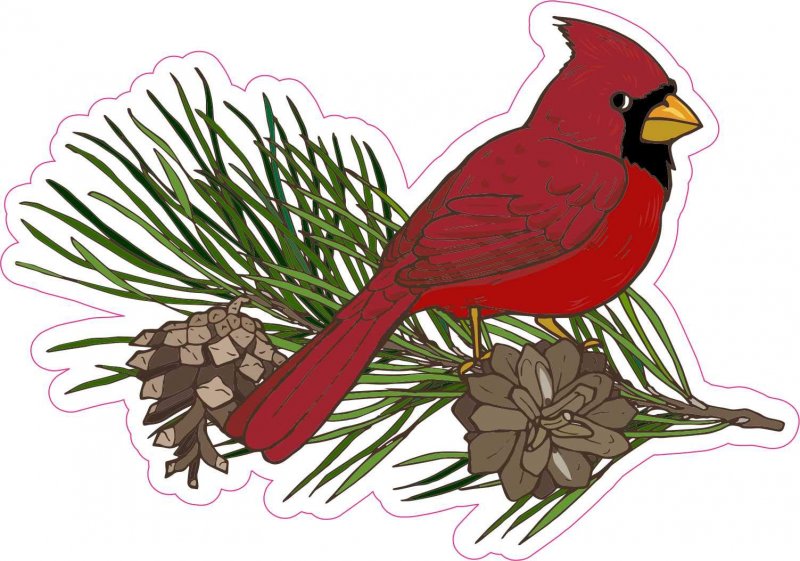 Stickertalk Pine Branch Cardinal Vinyl Sticker 5 Inches By 3