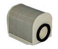 Hiflofiltro Hfa4906 Premium Oe Replacement Air Filter 