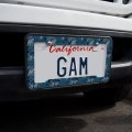Wolf Wolves Wilderness Forest Southwestern Western Ice Blue License Plate Tag Frame
