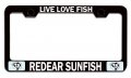 Live Love Fish Redear Sunfish Fishing Black Metal License Plate Frame Tag Holder L89 