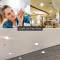 Goodbulb 26 Watt Cfl Light Bulbs 2 Pin G24d-3 Base 6500k Full Spectrum 26w High Output 1800 Lumens Double Tube Compact